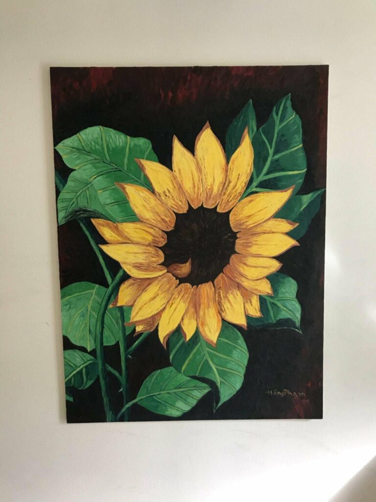 Flowers collection: Sunflowers